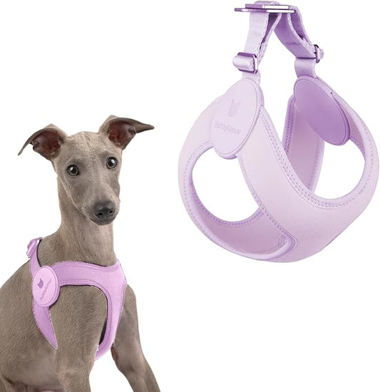 Ultra Comfortable Dog Harness Adjustable Soft Dog Vest, Alloy Buckle Closure Lightweight Stretchy Puppy Harness Step in for Small Sized Dogs Walking Training (Monet Purple, XXS 11.8-12.6")
