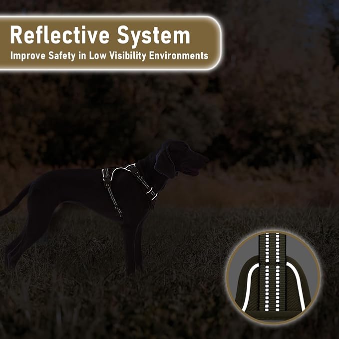 X-Large Dog Harness, No Pull Easy Walker Escape Proof Vest with Handle, Reflective Pet Harness with 2 Leash Clips and 3 Buckles, No Rub No Choke, Newfoundland Alaska German Shepherd Mastiffs, XL