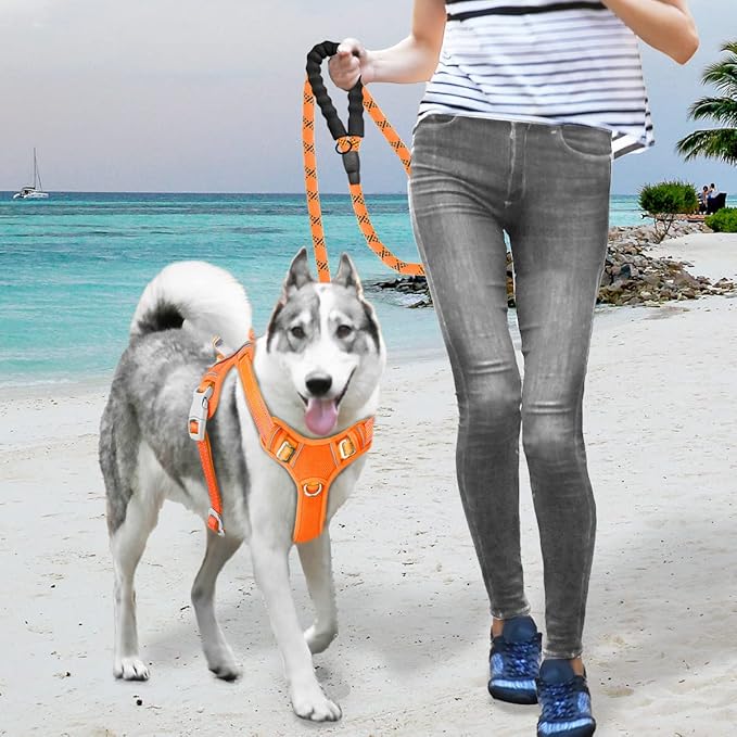 BARKBAY No Pull Dog Harness Large Reflective Dog Harness with Front Clip and Easy Control Handle for Walking Training Running with ID tag Pocket(Orange,S)