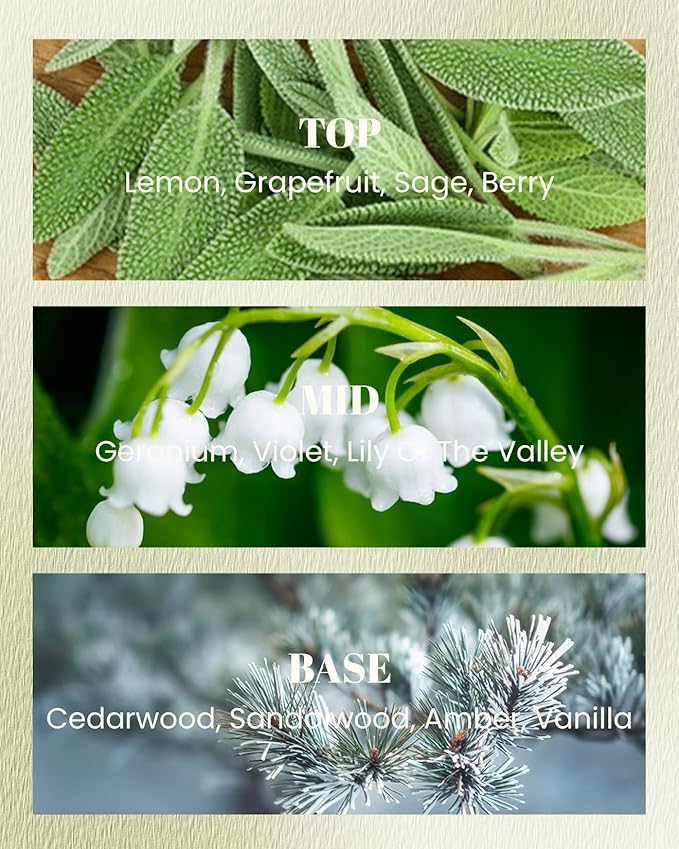 M&SENSE Sage Citrus Scented Vegan Soy Candles, No Toxin 10oz 42-Hour Long Burning Time,Fall Winter Calming Relax Air Purifying Candles for Home Fragrance,Housewarming Thanksgiving Christmas Gift