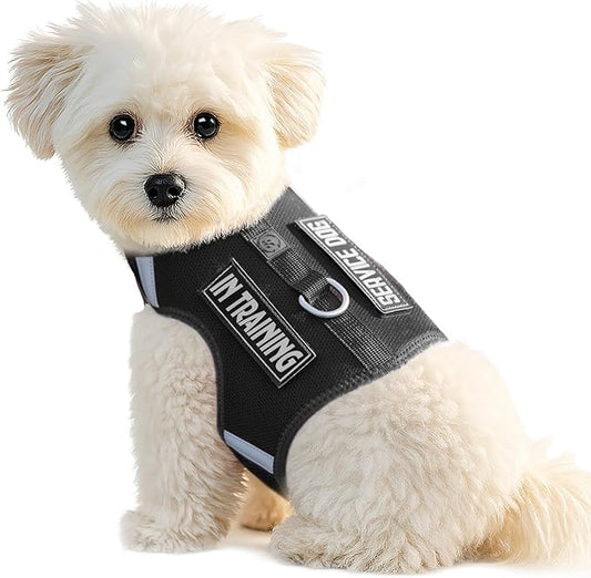 Dog Harness for Puppy – Adjustable Reflective Easy Put On Soft Mesh Vest for Small Dogs with 2 Patches (Black,XS)