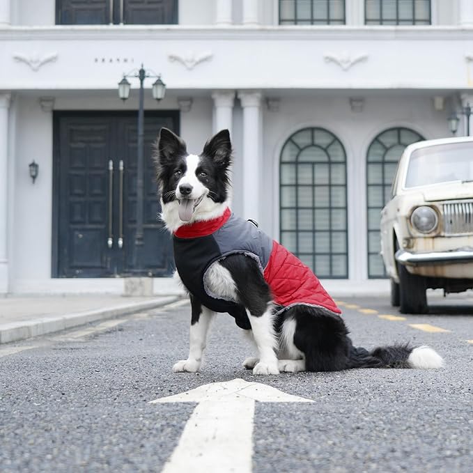 Warm Fleece Dog Coats for Small Dogs,D-Rings Waterproof Puppy Jacket for Cold Winter,Red XS