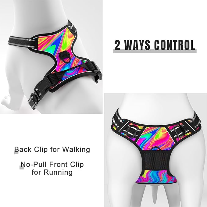 Rnivvi No Pull Dog Harness, Cute Reflective Small Sized Puppy Kitten Harness, Adjustable Soft Padded Vest for Small Dogs, Cats, Heavy Duty Pet Vest with Easy Control Handle for Walking, Rainbow Art