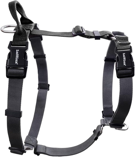 Non-Restrictive Dog Harness, Easy Walk Freedom No Pull Harness, Keep Balance, Neck-Buckle, Six Points Adjustment, 2 Leash Clips for Back and Front Clip (Black/Grey, X-Small)