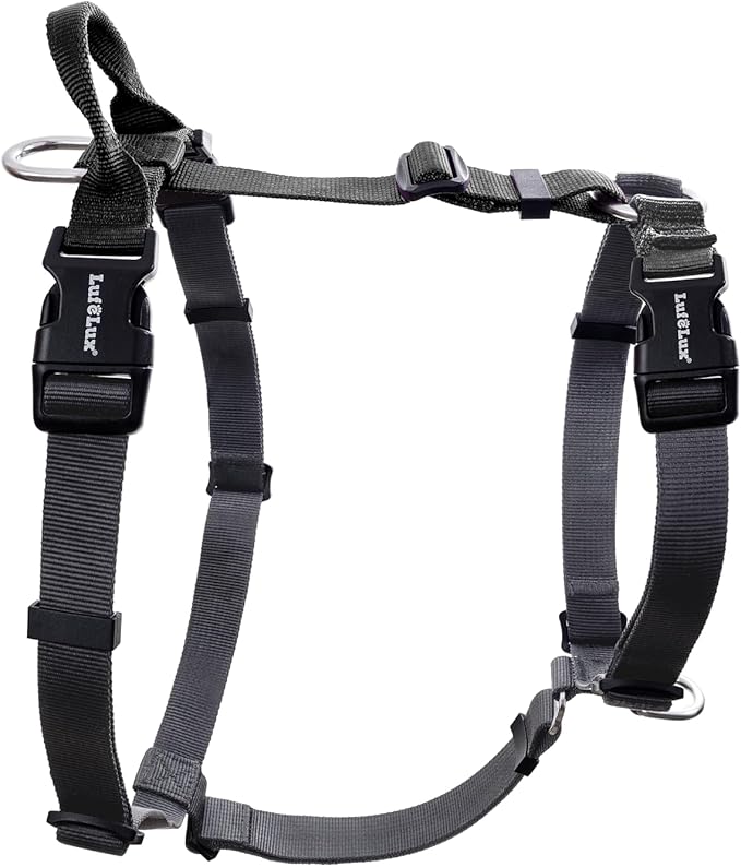 Non-Restrictive Dog Harness, Easy Walk Freedom No Pull Harness, Keep Balance, Neck-Buckle, Six Points Adjustment, 2 Leash Clips for Back and Front Clip (Black/Grey, X-Large)