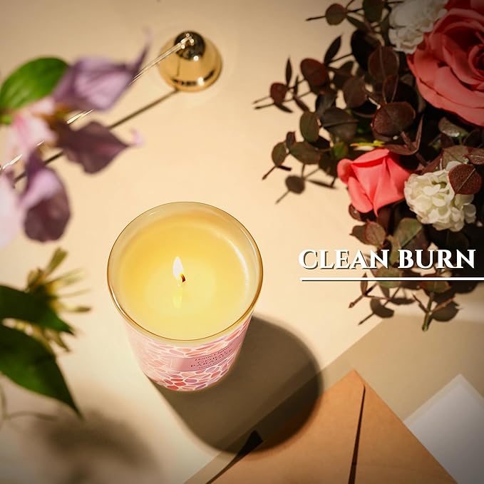 HomeLights Coral Paradise Scented Candles | 6.7oz Soy Candles Bohemian Natural Textures Large Candle Jars | Ideal Candle Gifts for Events, Home Decor Stress, Relief & Relaxation