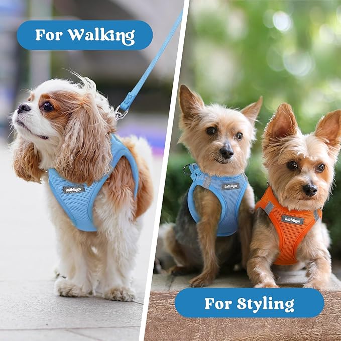 rabbitgoo Small Dog Harness, Step-in Soft Mesh Puppy Vest with Safety Buckle, Breathable Reflective Pet Harness for Small Sized Dogs, Blue S