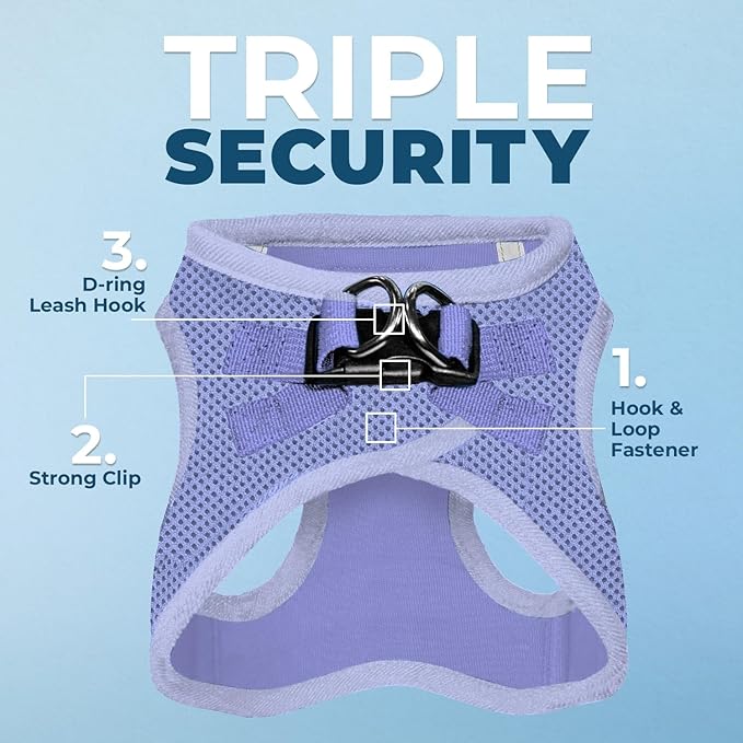 Best Pet Supplies Voyager Step-in Air Harness - All Weather Mesh, Reflective, No Pull Harness for Dogs, Cats - Secure with Hook & Loop Fastener, Buckle, Double D-Rings - Lavender, M