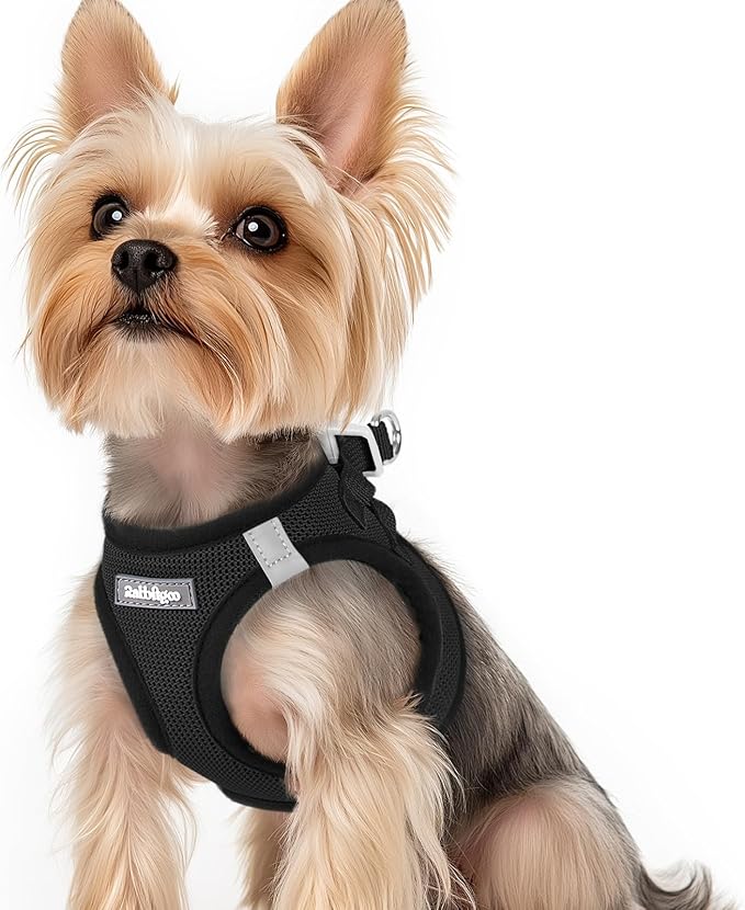 rabbitgoo Small Dog Harness, Step-in Soft Mesh Puppy Vest with Safety Buckle, Breathable Reflective Pet Harness for Small Sized Dogs, Black XS