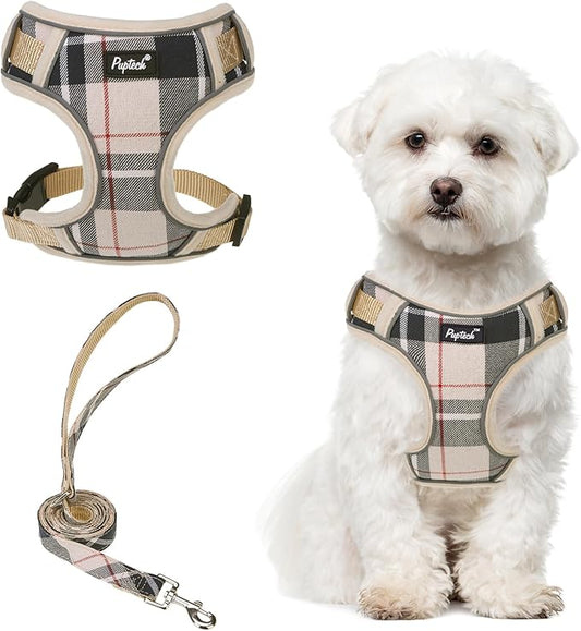 PUPTECK Small Dog Harness and Leash Set, No Pull Adjustable Puppy Cat Harness, Reflective Soft Mesh Pet Vest Small Sized