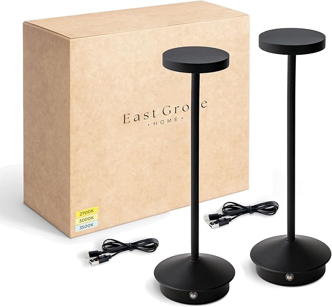 Orbit LED Cordless USB-C Re-Chargeable Desk Lamp, 5200mAh Battery Operated with 3 Color Temperature 2700K-3000K-3500K and Fingertip Touch On/Off Plus Dimming in Black (Pack of 2)