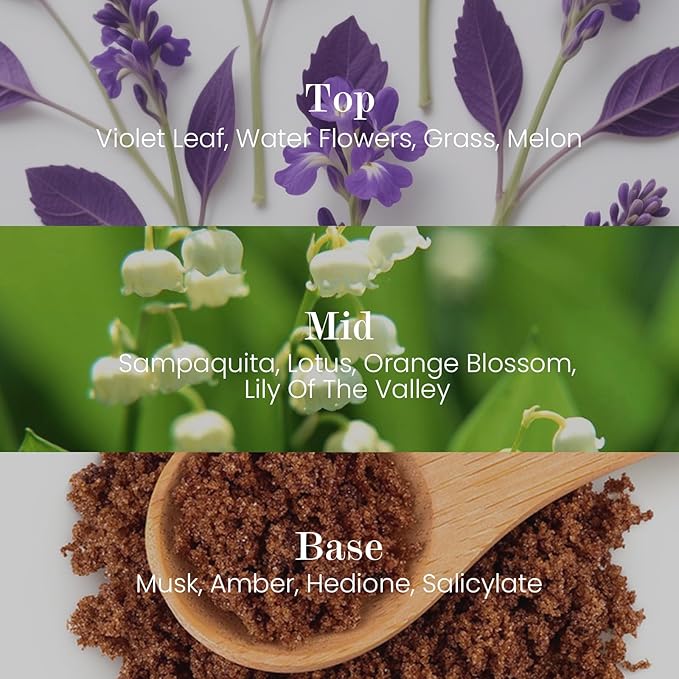 M&SENSE Natural Soy Candle| Forest Lodge | 5.3 oz | Minimalist Christmas Scented Candle for Relaxation, Gifting, Home Décor | for Bedroom, Office, Party Small