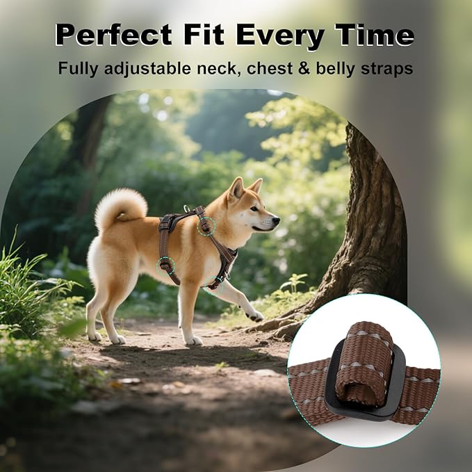 Plutus Pet Adjustable No Pull Dog Harness with Leather Accents, Heavy Duty Reflective Nylon Vest for Training, Hiking, Easy Walk Harness for Small, Medium, Large Dogs (Chocolate, XL)