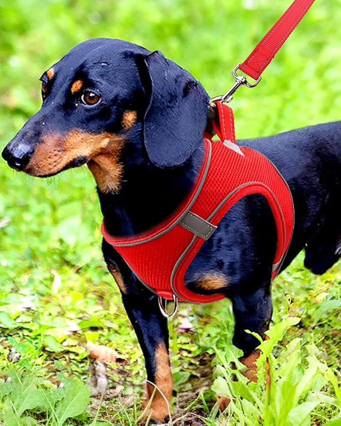 Joytale Small Dog Harness, Breathable Mesh Step-in Vest, Reflective Soft Padded Harnesses for Small and Medium Dogs, Red, M