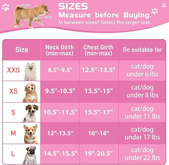 Soft Mesh Dog Harness and Leash Set, No Pull Puppy Harness and Leash Set, Reflective Step in Harness for Small Medium Dogs, Easy Walk Escape Proof Vest Harnesses (Rose Red, M)