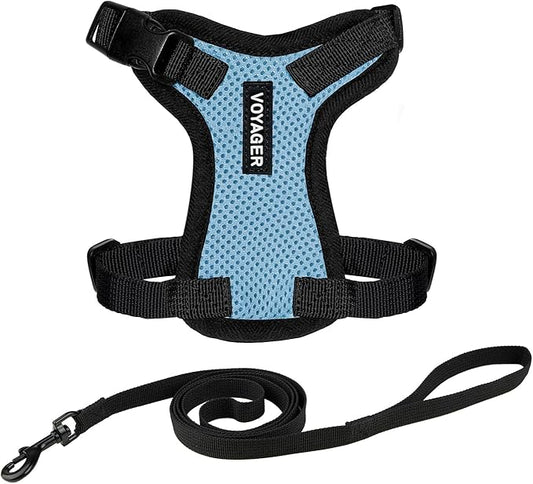 Voyager Step-in Lock Adjustable Cat Harness w. Cat Leash Combo Set with Neoprene Handle 5ft - Supports Small, Medium and Large Breed Cats by Best Pet Supplies - Baby Blue/Black Trim, XS