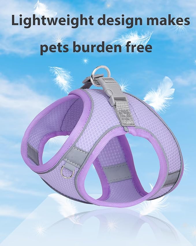 Dog Harness for Small Medium Sized Dog, Step in Puppy Harness and Leash Set Training Walking. (Purple, XS)