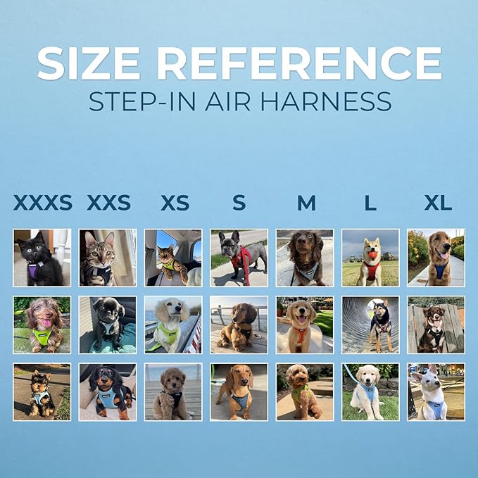 Best Pet Supplies Voyager Step-in Air Harness - All Weather Mesh, Reflective, No Pull Harness for Dogs, Cats - Secure with Hook & Loop Fastener, Buckle, Double D-Rings - Blue/Black Trim, S