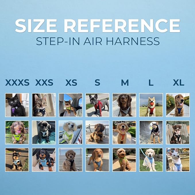 Best Pet Supplies Voyager Step-in Air Harness - All Weather Mesh, Reflective, No Pull Harness for Dogs, Cats - Secure with Hook & Loop Fastener, Buckle, Double D-Rings - Blue/Black Trim, XL
