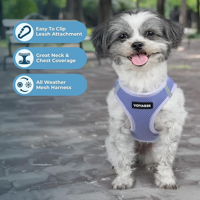 Best Pet Supplies Voyager Step-in Air Harness - All Weather Mesh, Reflective, No Pull Harness for Dogs, Cats - Secure with Hook & Loop Fastener, Buckle, Double D-Rings - Lavender, M