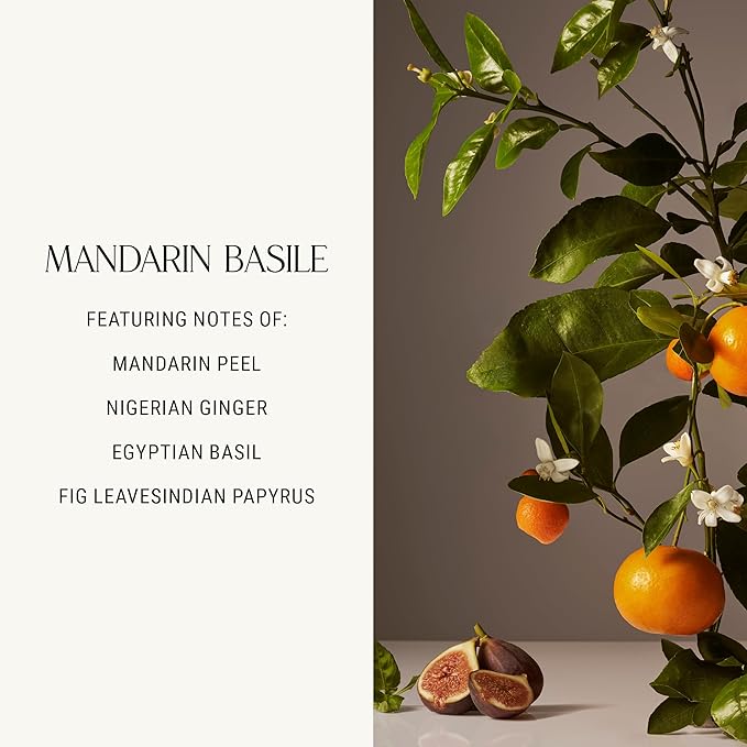 Homecourt Luxury Scented Candle, Mandarin Basile Scent, 60-Hour Burn Time, Soy Wax Blend, Organic Cotton Wick, Kiln-Fired Reusable Ceramic Vessel, 8 Oz, 2.0