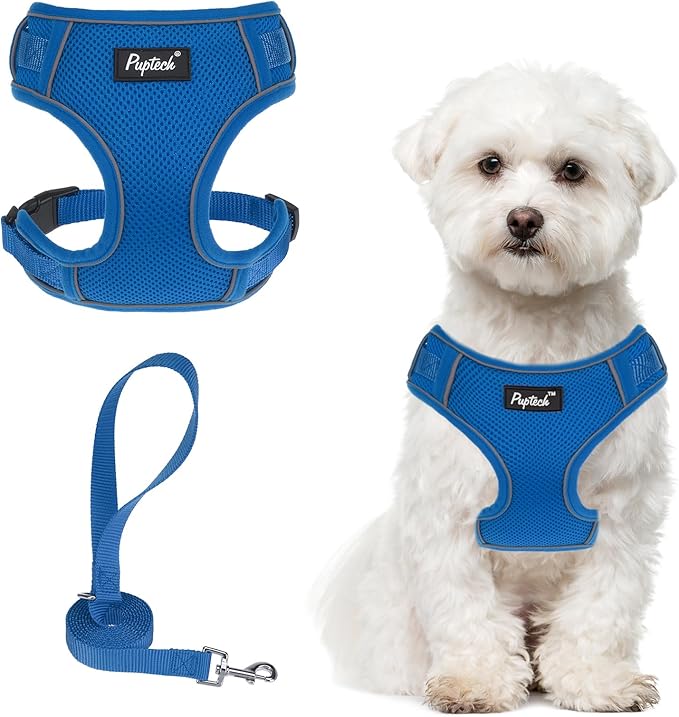 PUPTECK Small Dog Harness and Leash Set, No Pull Adjustable Puppy Cat Harness, Reflective Soft Mesh Pet Vest Small Sized