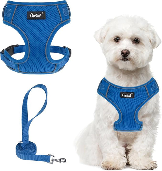 PUPTECK Small Dog Harness and Leash Set, No Pull Adjustable Puppy Cat Harness, Reflective Soft Mesh Pet Vest Small Sized