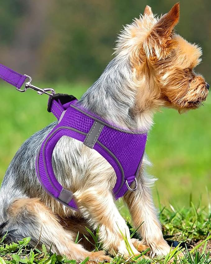Joytale Small Dog Harness, Breathable Mesh Step-in Vest, Reflective Soft Padded Harnesses Small Sized Dog for Walking, Purple, S