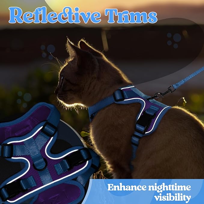 rabbitgoo Cat Harness and Leash Set, Escape Proof Soft Adjustable Vest Harnesses for Outdoor Walking, Easy Control Breathable Kitten Jacket with Reflective Strips, Purple & Blue, XS