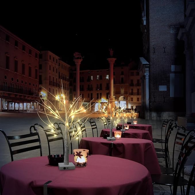 Set of 2 Warm White Birch Tree Light with Battery or USB Powered 24 LED Fairy Light Spirit Tree Tabletop Twinkling Tree Light Decor for Home Party Bedroom Wedding Thanksgiving Christmas Decoration