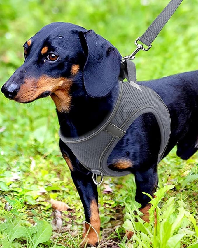Joytale Small Dog Harness, Breathable Mesh Step-in Vest, Reflective Soft Padded Harnesses for Small and Medium Dogs, Gray, M