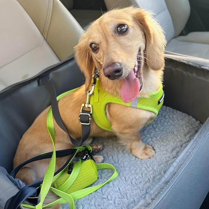 Best Pet Supplies Voyager Step-in Air Harness - All Weather Mesh, Reflective, No Pull Harness for Dogs, Cats - Secure with Hook & Loop Fastener, Buckle, Double D-Rings - Lime Green, XXXS