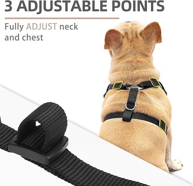 PUPTECK Small Dog Harness and Leash Set, No Pull Adjustable Puppy Cat Harness, Reflective Soft Mesh Pet Vest Small Sized