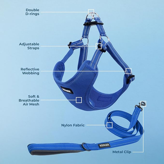 Best Pet Supplies Voyager Adjustable Dog Harness Leash Set with Reflective Stripes for Walking Heavy-Duty Full Body No Pull Vest with Leash D-Ring, Breathable All-Weather - Royal Blue, M