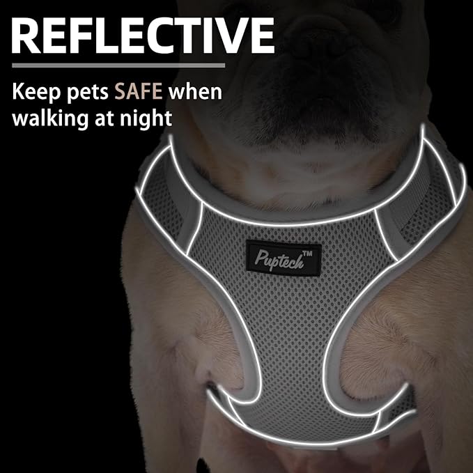 PUPTECK Small Dog Harness and Leash Set, No Pull Adjustable Puppy Cat Harness, Reflective Soft Mesh Pet Vest Small Sized
