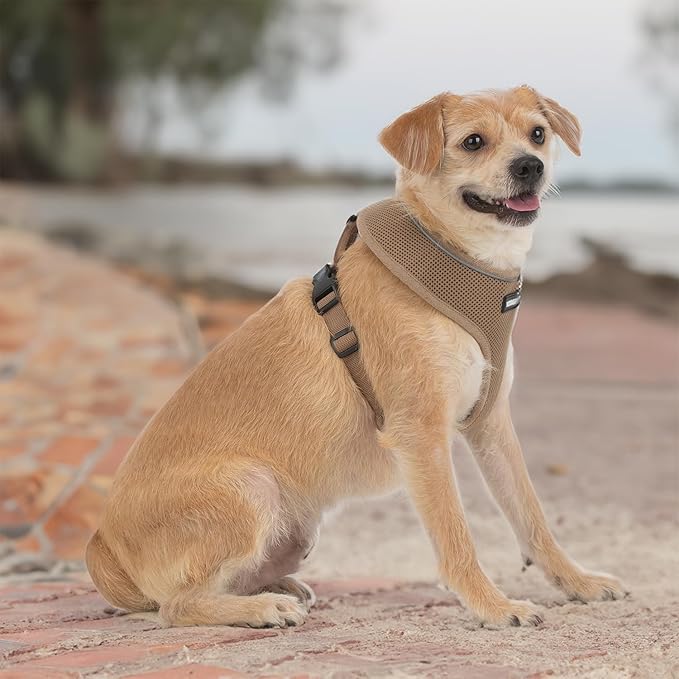 Best Pet Supplies Voyager Aerolite No Pull Mesh Dog Harness, Reflective Stitching, Breathable Harness, Adjustable for Walking, Training, Running, Heavy Duty and Durable, Beige, S