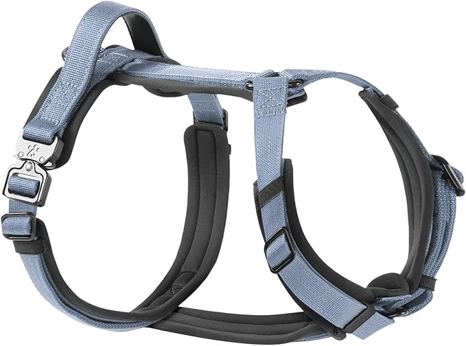 PawsPassion Dog Harness for Large Dogs, No Pull Dog Harness Easy Walk with Metal Hardware, Ergonomic Y-Shaped Design, Soft Padding, Padded Handle, Durable High-Tensile Nylon (Horizon, L)