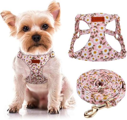 CHEDE No Pull Floral Pattern Dog Harness- Lightweight, Soft, Adjustable Small Harness and Leash Set, Suitable for Puppy Small and Medium-Sized Dog (XS, Pink Daisy)
