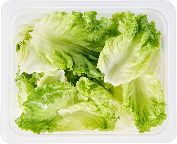 Restaurantware Food Pans Pack of 10 Plastic Rectangle Food Containers Half Size with Traceability Label, Storage Containers Dishwashable Hot Cold Friendly for Restaurants Buffet Commercial Use