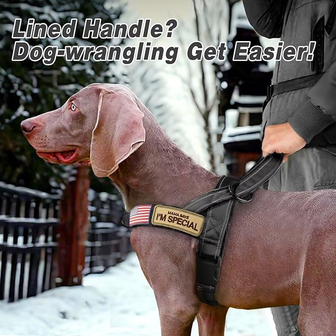 Forestpaw No Pull Dog Harness with Flannel Lining, Reflective Escape Proof Vest for Large Dogs, Quick Release Comfortable for Walking Training (Includes Patches),Black L