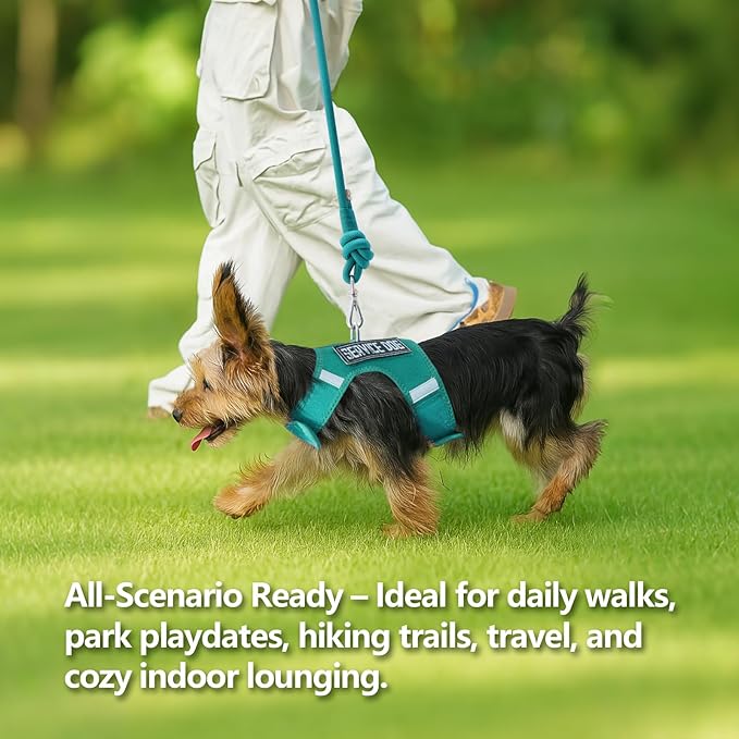Dog Harness for Puppy – Adjustable Reflective Easy Put On Soft Mesh Vest for Small Dogs with 2 Patches (MARRS Green,S)