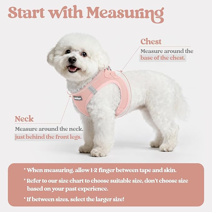 rabbitgoo Dog Harness Small Sized and Leash Set, Step in Soft Light Puppy Vest, Breathable Mesh Pet Harness, Reflective for Safe Outdoor Walking, Pink M