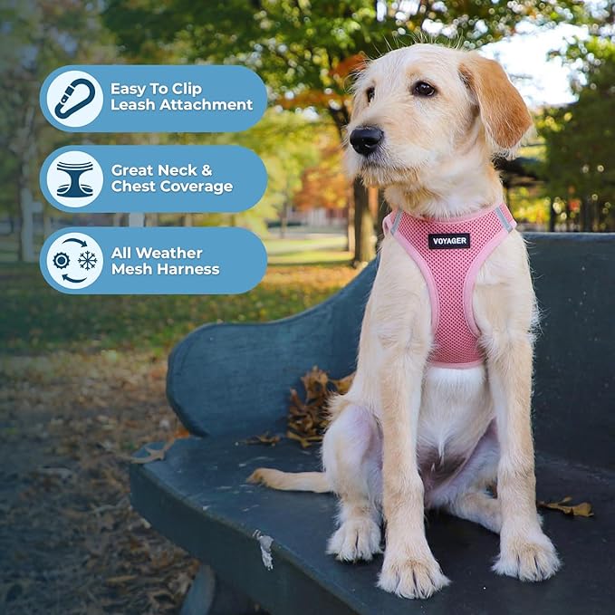 Best Pet Supplies Voyager Step-in Air Harness - All Weather Mesh, Reflective, No Pull Harness for Dogs, Cats - Secure with Hook & Loop Fastener, Buckle, Double D-Rings - Pink, M
