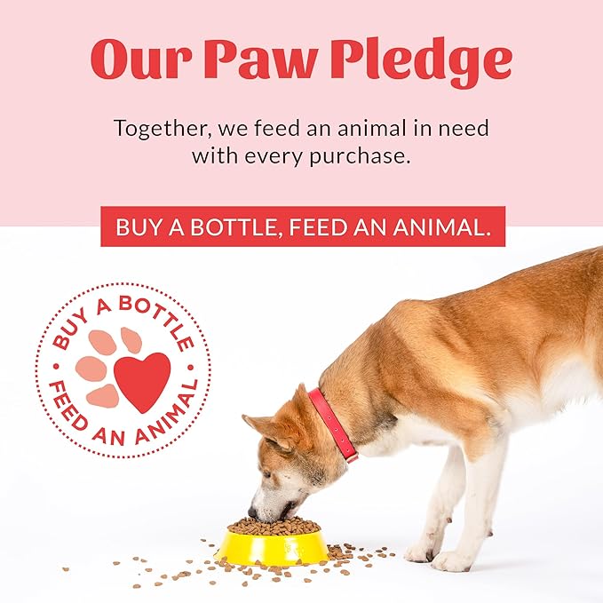 SKOUT'S HONOR Prebiotic Pet Balm - 100% Natural and Made w/Manuka Honey to Promote Healing of Your pet's paw Pads and Nose, Soothes Dry, Itchy Paws and Noses - Safe for Cats and Dogs, 2oz, 3-Pack