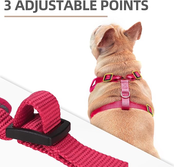 PUPTECK Small Dog Harness and Leash Set, No Pull Adjustable Puppy Cat Harness, Reflective Soft Mesh Pet Vest Small Sized