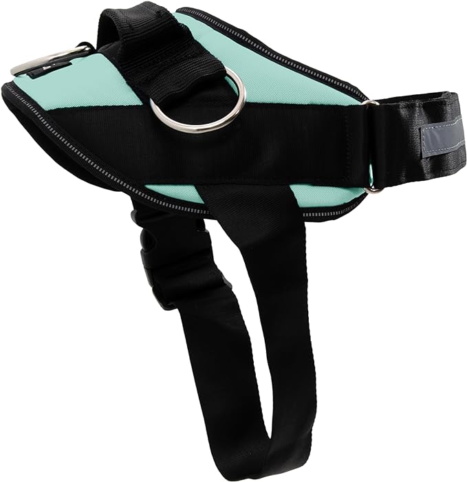 ShawnCo Essential Dog Harness, No-Pull Pet Vest with 3 Leash Clips, No Choke, Reflective, Adjustable and Padded, for Easy Walking and Training for Small, Medium and Large Dogs (Seafoam, XS)