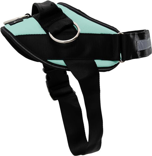 ShawnCo Essential Dog Harness, No-Pull Pet Vest with 3 Leash Clips, No Choke, Reflective, Adjustable and Padded, for Easy Walking and Training for Small, Medium and Large Dogs (Seafoam, XS)