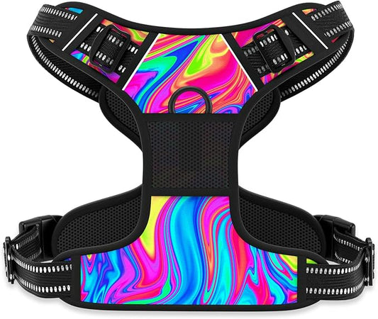 Rnivvi No Pull Dog Harness, Cute Reflective Small Sized Puppy Kitten Harness, Adjustable Soft Padded Vest for Small Dogs, Cats, Heavy Duty Pet Vest with Easy Control Handle for Walking, Rainbow Art