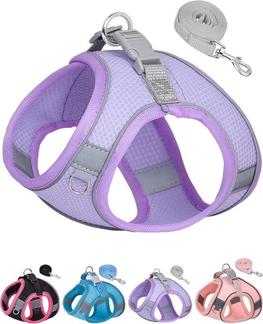 Dog Harness for Small Medium Sized Dog, Step in Puppy Harness and Leash Set Training Walking. (Purple, S)