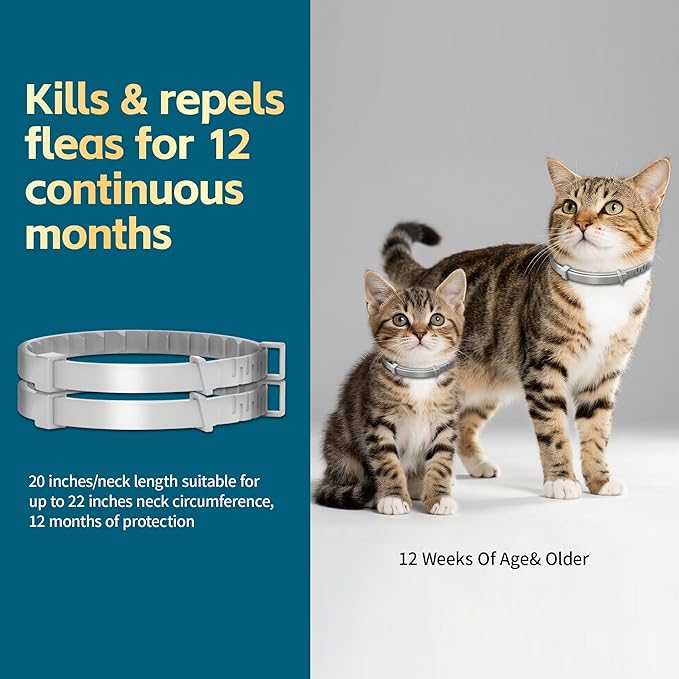 Flea and Tick Collar for Cats – 12-Month Protection – Adjustable & Waterproof – Safe, Long-Lasting Repellent for Fleas, Ticks, Lice & Mosquitoes – Fits Small, Medium & Large Cats 2pack